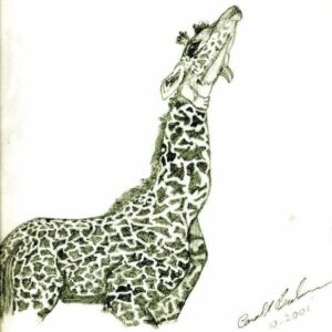 Cazz-B - Hand drawn Giraffe